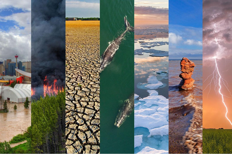 气候危机迫在眉睫：2023 年极端天气启示与全球应对之道